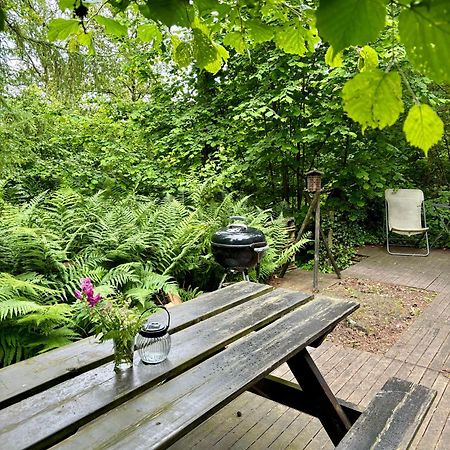 Chalet Scandinave Avec Sauna Ir - In The Woods Gesves Dış mekan fotoğraf