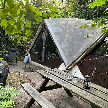 Chalet Scandinave Avec Sauna Ir - In The Woods Gesves Dış mekan fotoğraf