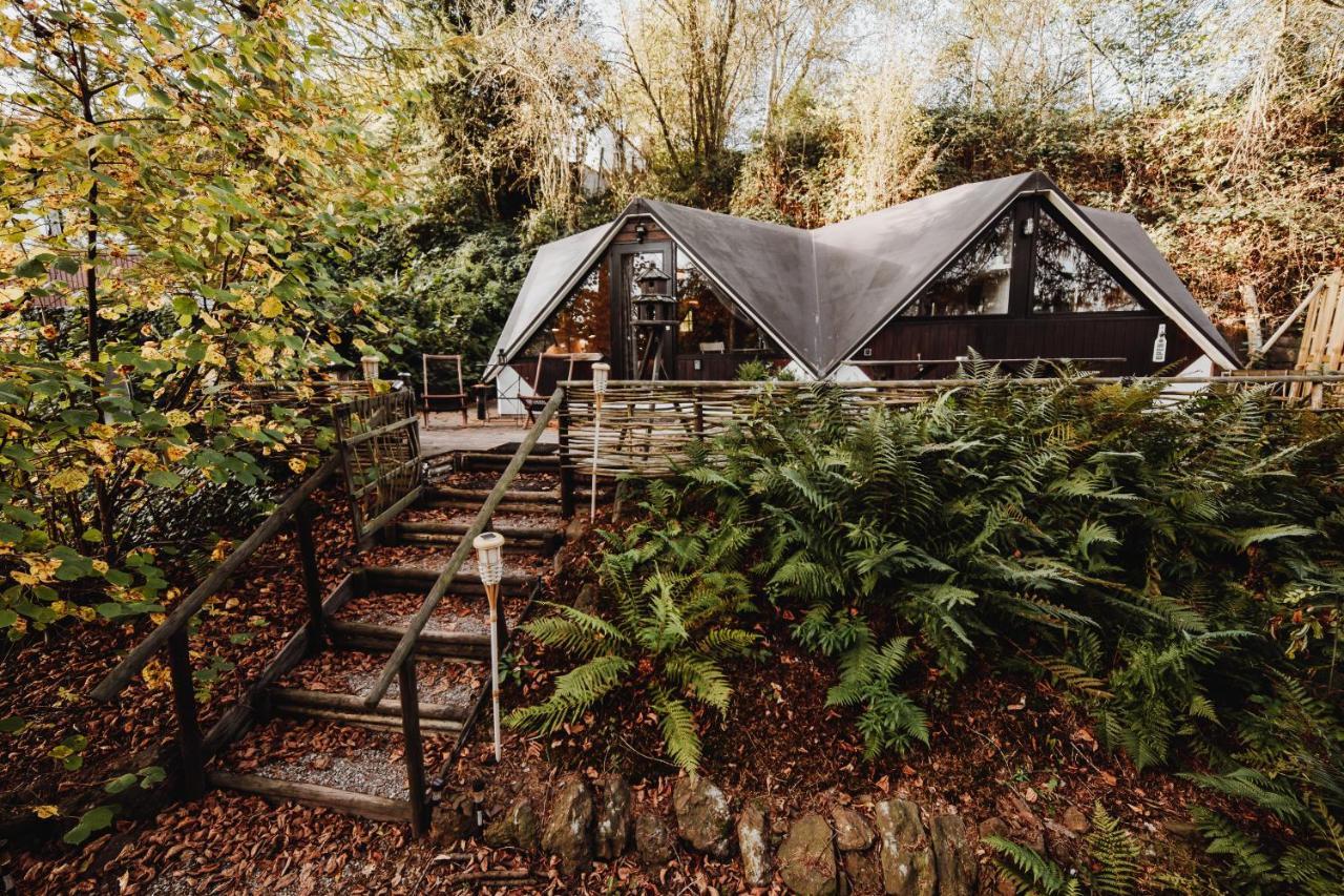Chalet Scandinave Avec Sauna Ir - In The Woods Gesves Dış mekan fotoğraf