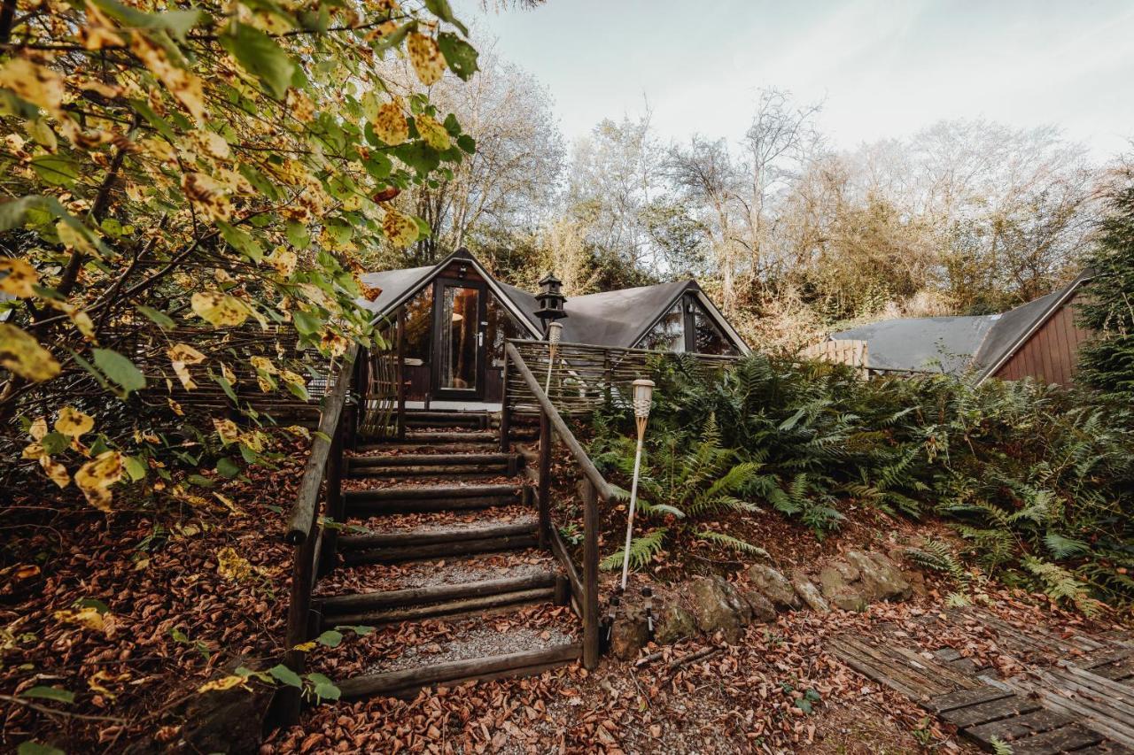 Chalet Scandinave Avec Sauna Ir - In The Woods Gesves Dış mekan fotoğraf