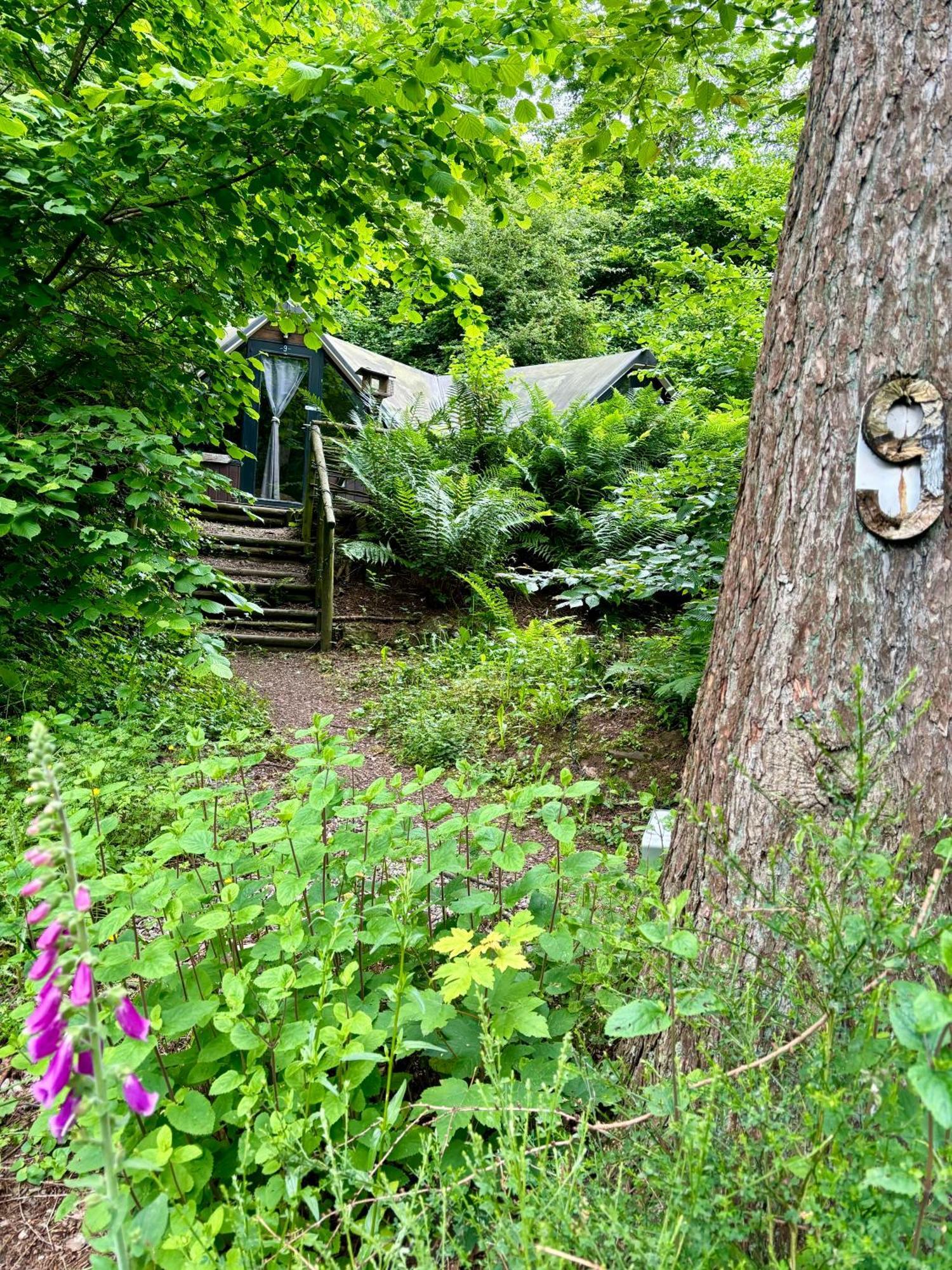 Chalet Scandinave Avec Sauna Ir - In The Woods Gesves Dış mekan fotoğraf